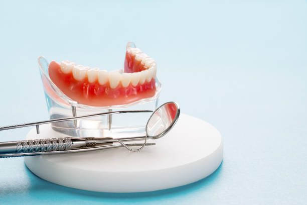 Best Pediatric Dentistry  in Carrollton, AL